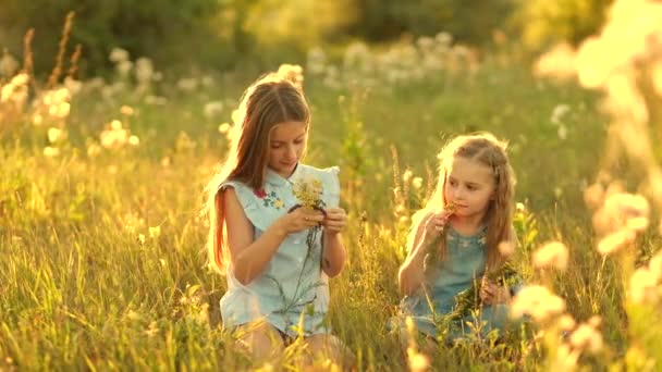 Девушки на летнем лугу — стоковое видео