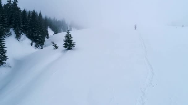 Grupo de excursionistas con perro en un sendero de montaña en invierno — Vídeos de Stock