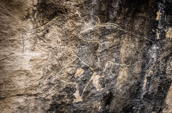 Fragment of petroglyph in Gobustan, — Stock Photo, Image