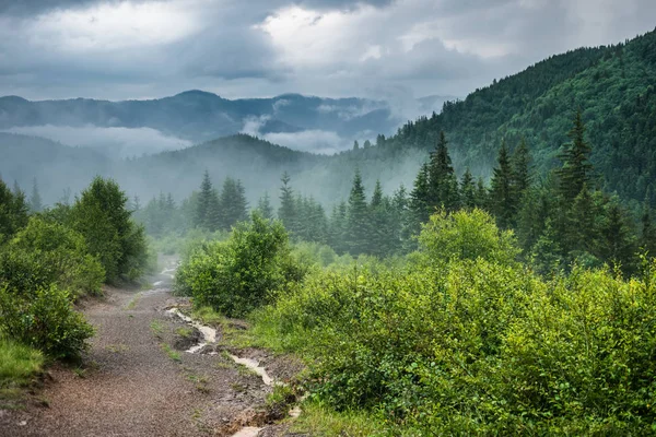 Pfad führt zu Nebelbergen — Stockfoto