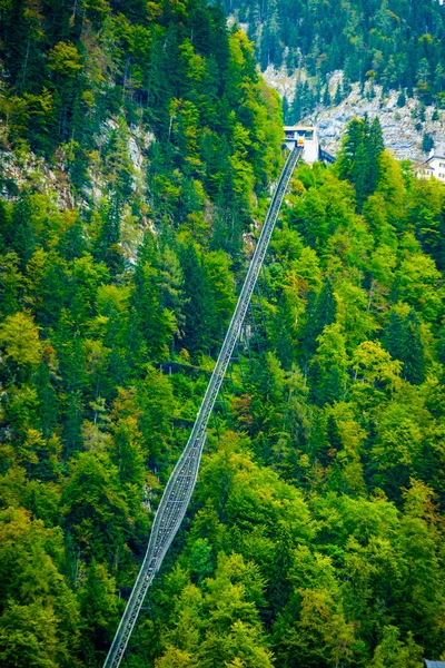 Funicolare sopra la foresta verde — Foto Stock