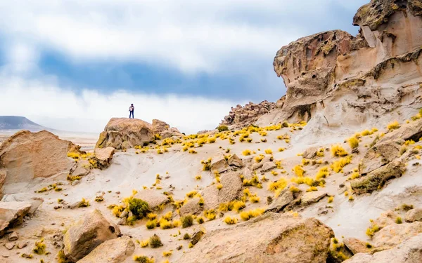 Bolivian mountains landscape — Stock Photo, Image