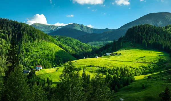 Green meadows and mountains — Stock Photo, Image
