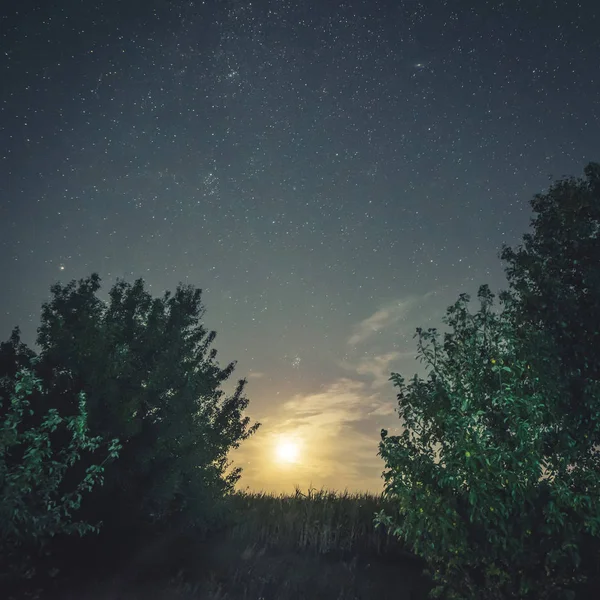Brillo verde bajo el cielo estrellado — Foto de Stock
