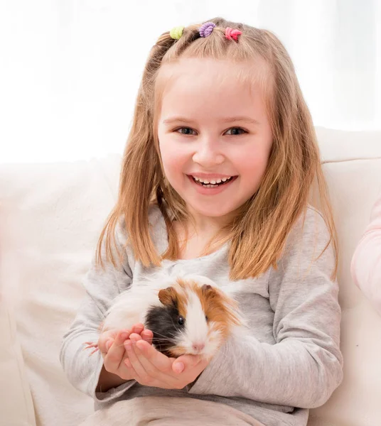 Niña sosteniendo conejillo de indias en las manos — Foto de Stock