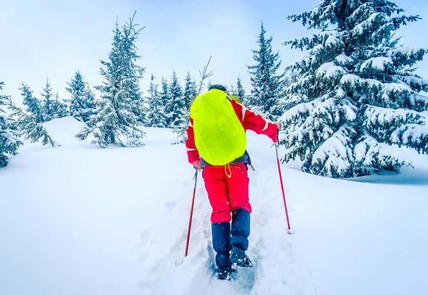 Турист з пішохідними полюсами і яскравим рюкзаком в горах — стокове фото