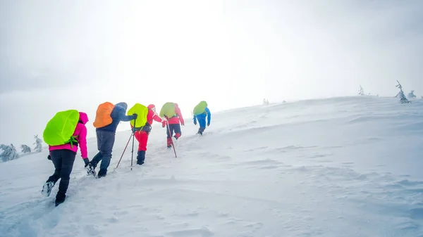 Gruppo di scalatori che in inverno raggiungono la vetta della montagna — Foto Stock