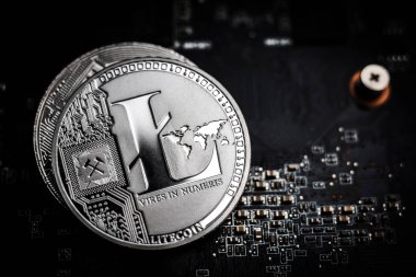 Litecoin bilgisayar anakartında yatıyor