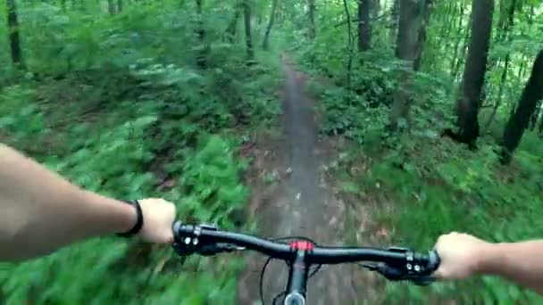 Cyklist rider genom skogen — Stockvideo