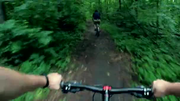 Ciclista pasea por el bosque — Vídeo de stock