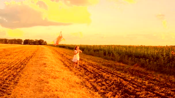 Niña corriendo con cometa — Vídeos de Stock