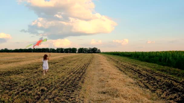 Kislány fut a kite — Stock videók