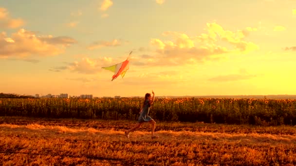 Niña corriendo con cometa — Vídeo de stock