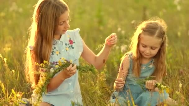 Girls on the summer meadow — Stock Video