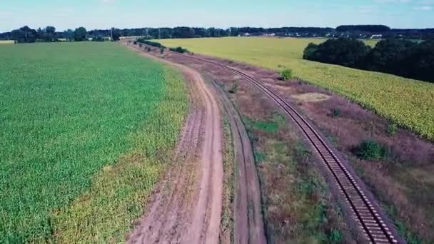 Железная дорога между полями — стоковое видео
