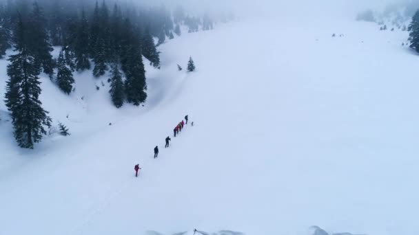 Group of hikers with dog on a mountain trail in winter — Stock Video