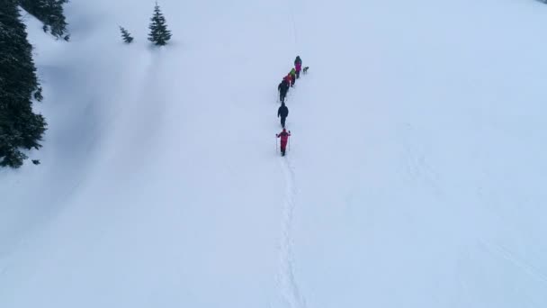 Groupe de randonneurs avec chien sur un sentier de montagne en hiver — Video