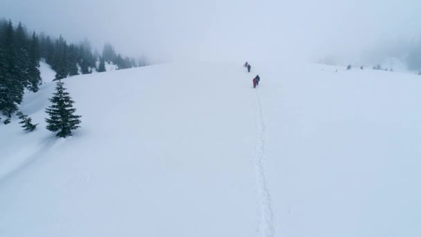 Група туристів з собакою на гірській стежці взимку — стокове відео