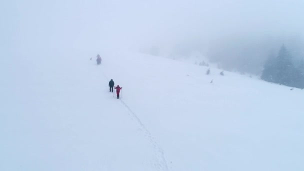 Grupo de excursionistas con perro en un sendero de montaña en invierno — Vídeos de Stock