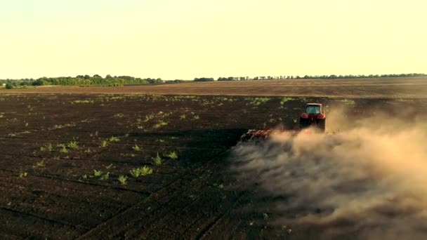 A légi felvétel a traktor szántás a talaj — Stock videók