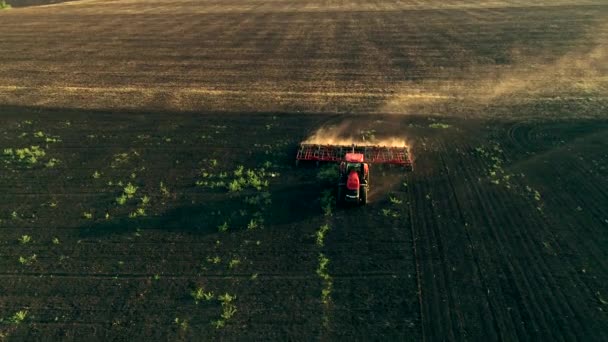 땅을 plowing 트랙터의 항공 보기 — 비디오