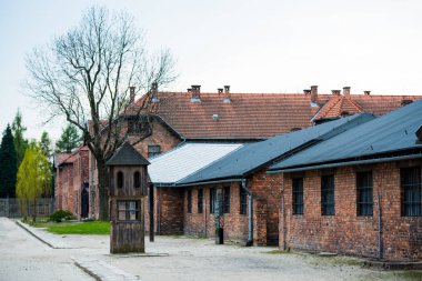 Auschwitz toplama kampı