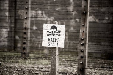 Auschwitz toplama kampı