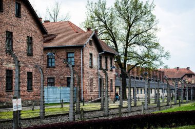 Auschwitz toplama kampı