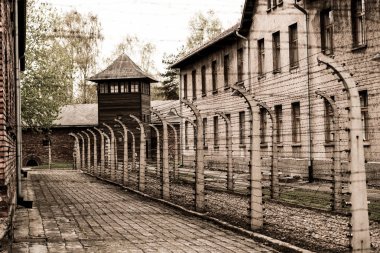 Auschwitz toplama kampı
