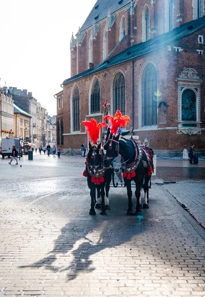 Krakow şehrinde iki siyah hourses ile taşıma — Stok fotoğraf