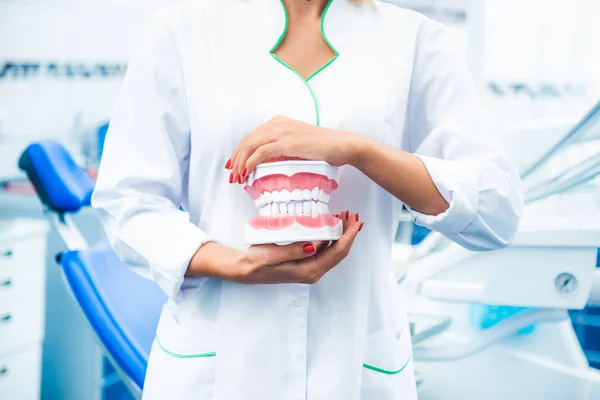 Sjuksköterska som håller tänderna modell — Stockfoto