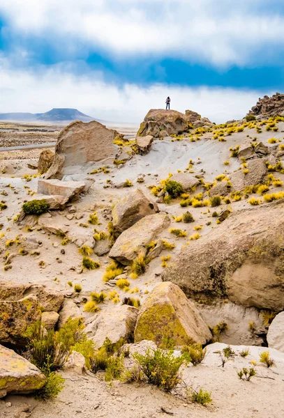 Montagne boliviane paesaggio — Foto Stock