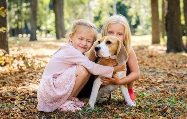 Küçük gülümseyen sarışın kızlar sarılma beagle köpek oturmak