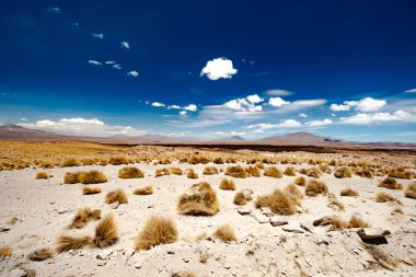 Sunshine Bolivya çöl ile