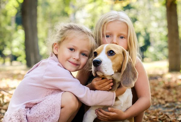 Pequeñas chicas rubias sonrientes se sientan abrazando al perro beagle —  Fotos de Stock