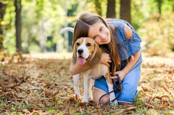 Kleine lächelnde blonde Mädchen sitzen und umarmen Beagle-Hund — Stockfoto