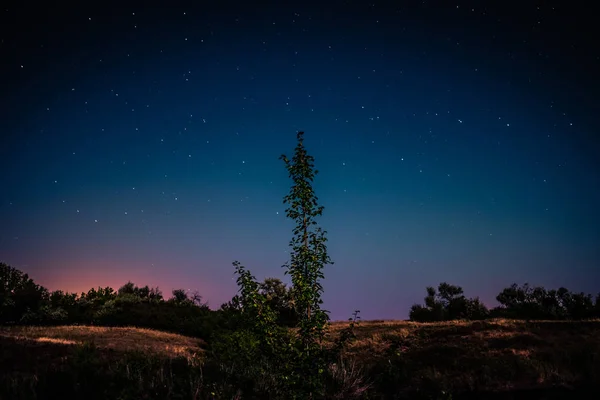 Kıvırcık startrails ile bozkır panorama — Stok fotoğraf