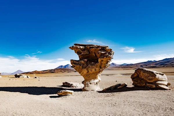 Stenen boom in Boliviaanse woestijn — Stockfoto