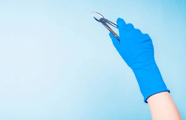 Hand in blue glove holding dental metal clamps