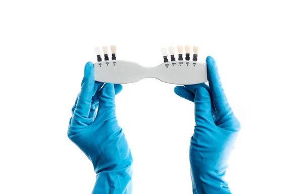 Manos en guantes azules que sostienen la paleta de colores dental aislada — Foto de Stock