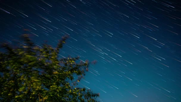 Timelapse com árvore verde no fundo do céu noturno — Vídeo de Stock