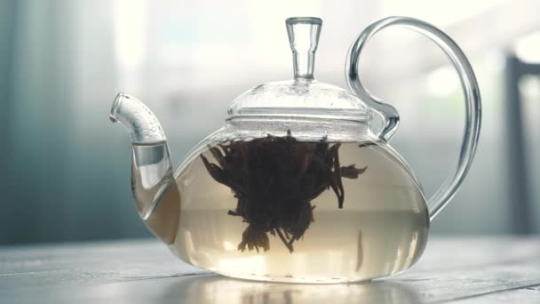 thé est infusé dans une théière en verre 