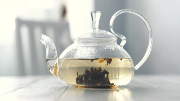 Thé est infusé dans une théière en verre — Video