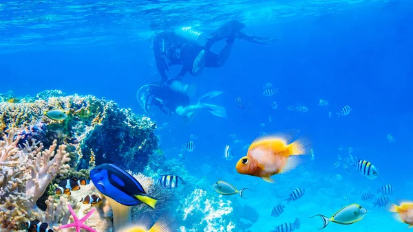 Paisaje marino con peces tropicales y arrecifes de coral —  Fotos de Stock