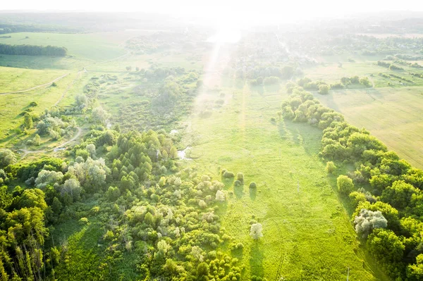 Trees and meadow over green river — Stock Photo, Image