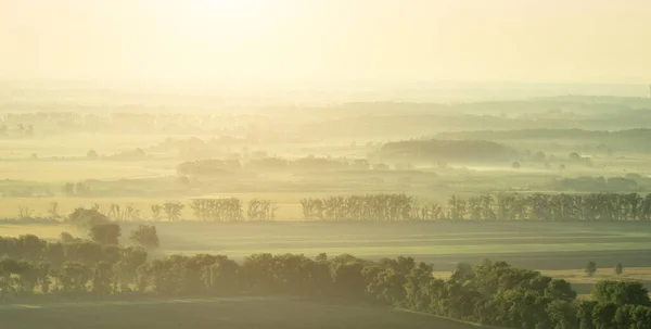 Paisaje de campos y árboles entre — Foto de Stock