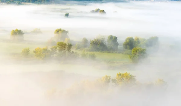 Undurchdringlicher Nebel über grünem Feld — Stockfoto