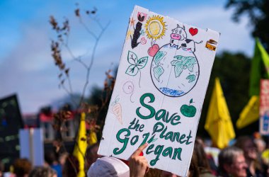 İklim değişikliği grevi