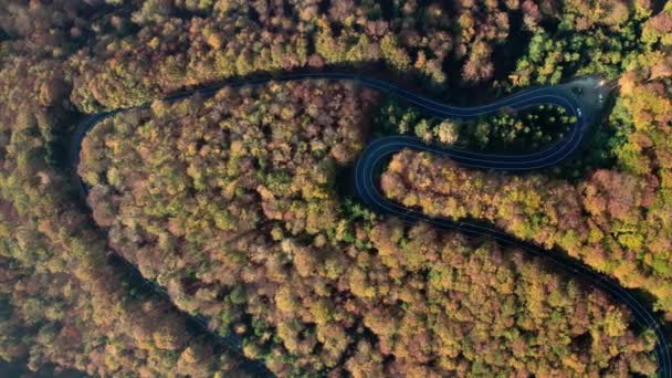 Vue aérienne de l'autoroute des transfagaras — Video