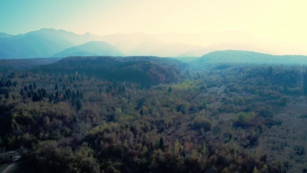 Paysage forestier avec montagnes à l'arrière-plan — Video